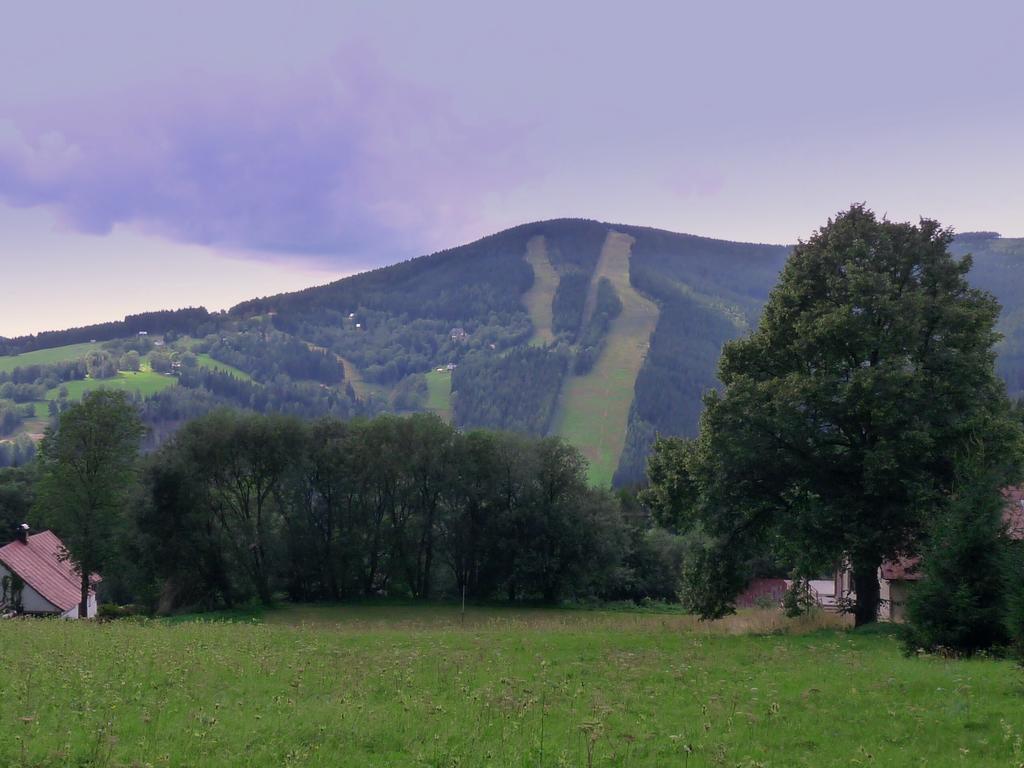 Penzion V Kolonce Strazne Exterior photo